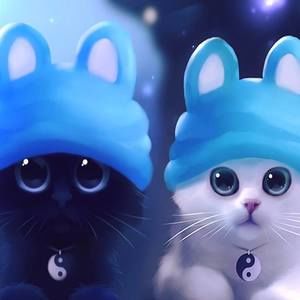 Meet your Posher, Betsy